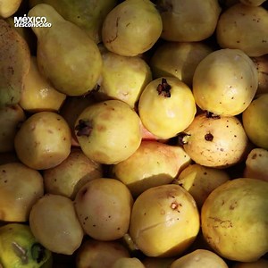 303K views · 6.5K reactions | Si te gustan los dulces tradicionales, no dejes de asistir a la Feria de la Guayaba en el Pueblo Mágico de Calvillo: https://goo.gl/vfE1xu Viva Aguascalientes | México Desconocido | Facebook