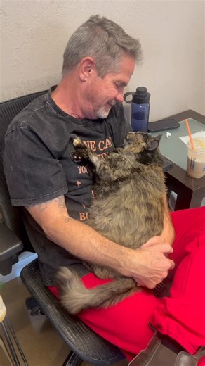 David Loop | Just a man and his cat named Zoey.. oh yeah and some red sweat pants 🤣.. there’s a story behind it #davidloop65 | Instagram