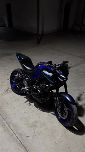 Master of Torque: A Deep Dive into MT25 Performance