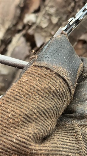 Efficient Chainsaw Techniques for Firewood Preparation