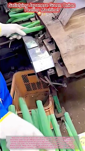 Satisfying Japanese Green Onion Peeling Machine! 🧅✨