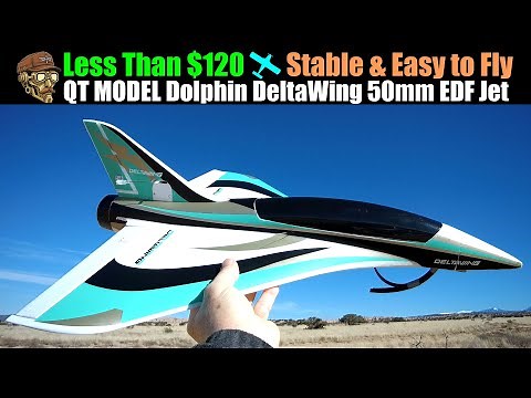 Less Than $120 Stable & Easy to Fly! Dolphin DeltaWing 50mm EDF Jet 550mm PNP