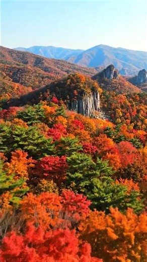 무등산 광주의 가을! 드론으로 본 입석대 주변 단풍🍁