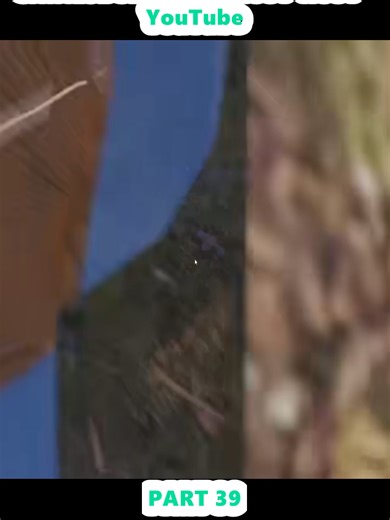 Surviving 1000 Days Against Parasites in Rust