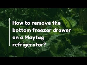 How to remove the bottom freezer drawer on a Maytag refrigerator?