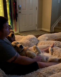 125K views · 1.7K reactions | This looks like the most cozy movie night ever  | Lessons Learned In Life | Facebook