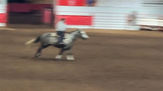 So french abul by: Silverado Guy out of : bully babalu by: bully bullion 2021 filly time only 14 days to go m | Sharon Munn