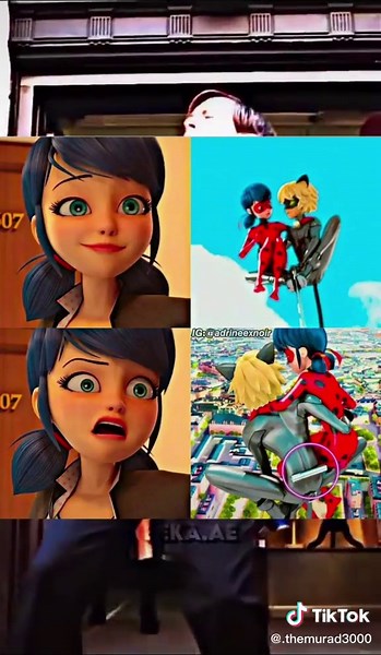 Miraculous Ladybug Characters Explained | Queen Bee, Cat Noir, and More!