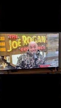 The view January 14, 2026