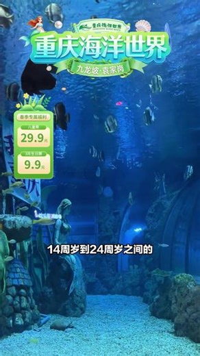 重庆海洋世界直播间放大招，今晚超低价！青年学生票 30 多元，还有热销好货。想带娃体验，就趁现在头像下单，周末遛娃佳选，速抢！ #海底大猎杀大白鲨怎么解锁 #海星 #电鳗 #皇冠黑白魟鱼 #怪怪水族馆游戏