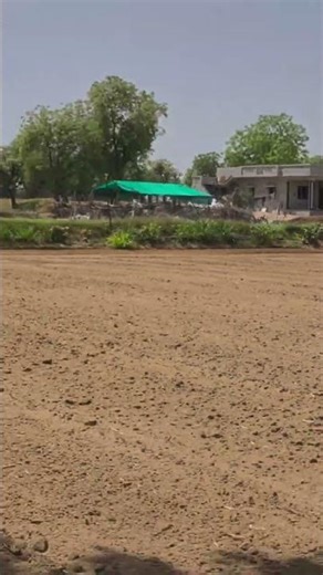 malching kheti sruvat kevi rite karvi #farming #trending #shorts #farmer