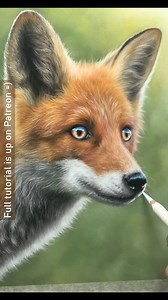 3.5K views · 422 reactions | Quite often animals will have a mixture...