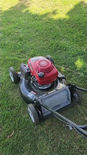 Craftsman Honda Push Mower (Big Problems) #automobile #lawnmowingbusiness #lawnmower #teamscottselec