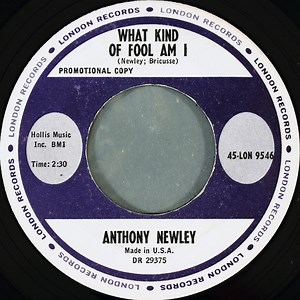 Anthony Newley - What Kind Of Fool Am I / Gonna Build A Mountain