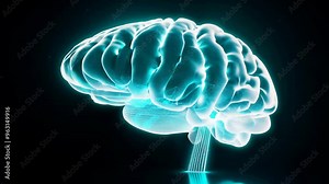 Spinning holographic wireframe brain with neural connections, light blue colour, additional detailed black background Stock Video