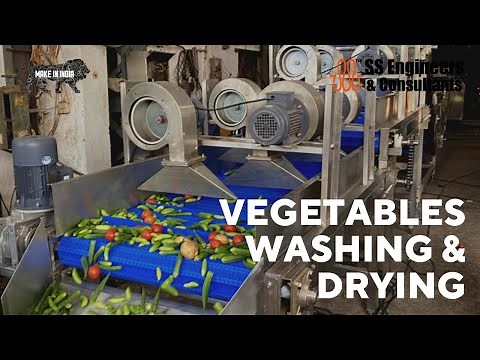 Vegetable washing and drying line | Primary processing