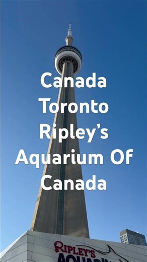 Toronto to Vancouver Banff Winter5645 Ripley’s Aquarium, Neon Lights in the Snow?#canadaontheroad