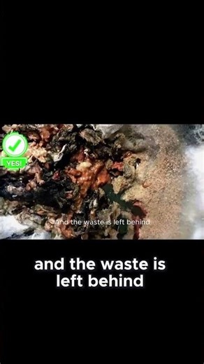 Your Body's # Cleaning System Explained #health #kidney #⃣