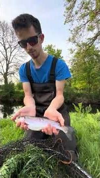 Un poisson inattendu dans la rivière à broc 😁 #truite #live #fishing #bretagne