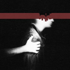 Nine Inch Nails: The Slip [24bit 48khz] (2008)