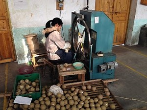 Fireworks Shell (3-8 inch) Pasting Machine