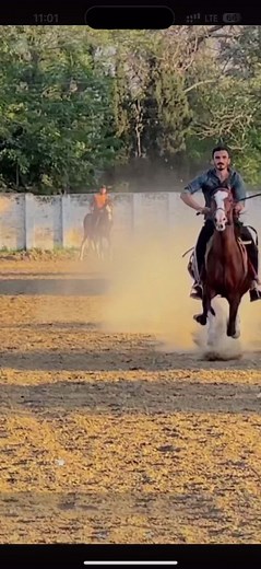 Riding a Horse: Maneuvers and Galloping in Nature