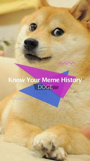 For a full history lesson, visit the Doge entry on Know Your Meme! #knowyourmeme #doge #memehistory #origins #dogvideos #fyp
