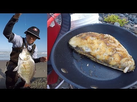 Catch and cook surf perch - Oregon coast surf fishing