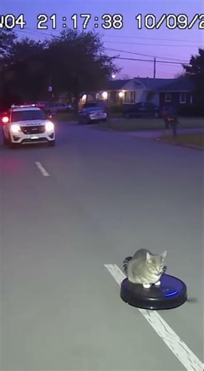 Police Chase Cat on Robot Vacuum Down the Street