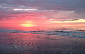 Hilton Diamond Status Match Live