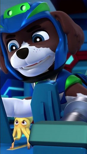 Le patrouilleur de baleines a été volé! | #lapatpatrouille #pawpatrol