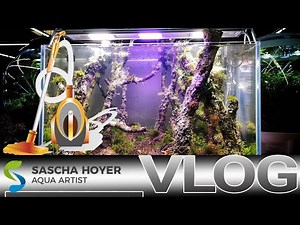 VLOG STAUBSAUGEN IM AQUARIUM?