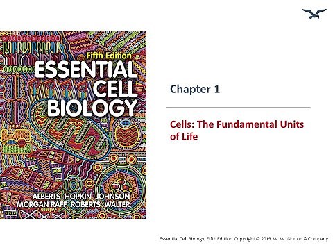 All about Cells: The fundamentals units of life