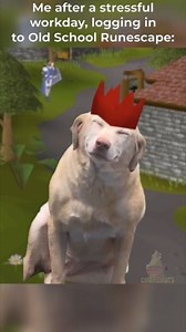 Me after a stressful workday, logging in to OSRS #memes #runescape #fypシ゚ #nostalgia #gaming #OSRS #2007scape #oldschoolrunescape | GnomeNuts