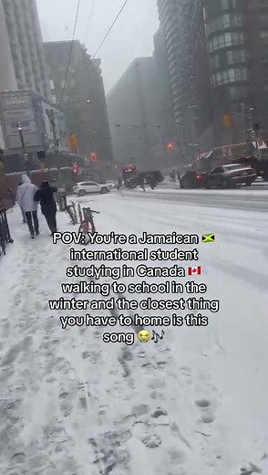 Holly Luyah Song for Jamaican International Students in Canada