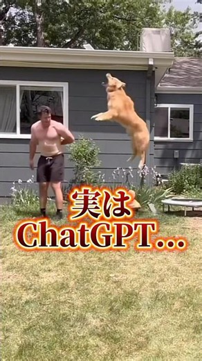 Did you know ChatGPT can create your own user manual? #videoediting #tiktokstrategy #tiktokmanage...