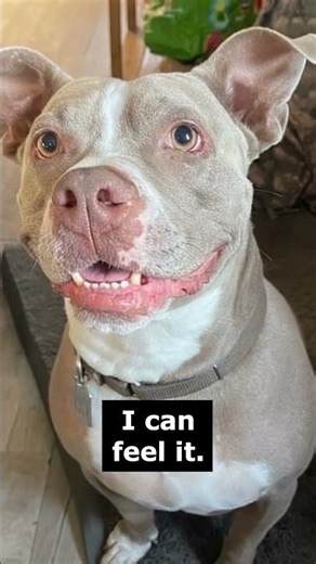 Something’s Up There… Probably My Last Brain Cell 💭😂