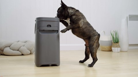 Introducing Pet Genie®, the easiest way to remove pet waste, inside or out.