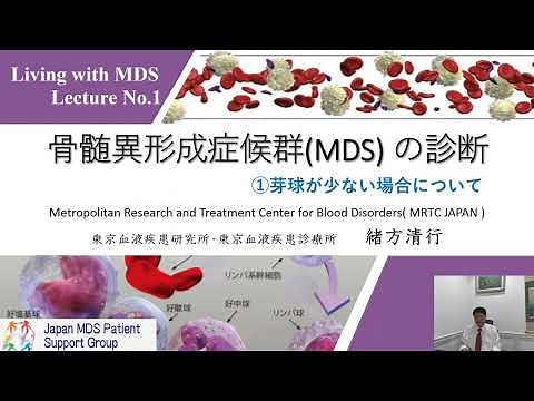 骨髄異形成症候群の診断 ①芽球が少ない場合 Diagnosis of Low Risk MDS