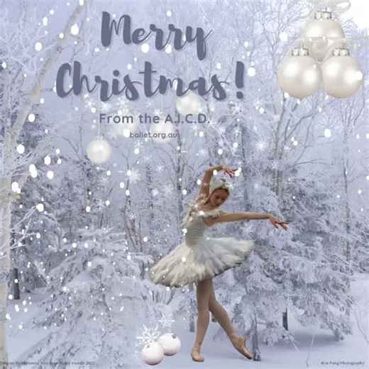 AICD on Instagram: "One of our favourite Christmas posts! #ballet #balletdancersofinstagram #balletdancersofig #aicd #aicdballet #aicdscholarships #aicdmasterclass #aicdawards #aicdscholarships #aicdsponsorship #aicdmarilynjonesawards #aicdnzsdscholarship"