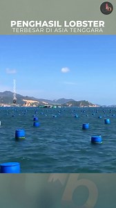 4.6M views · 83K reactions | Penghasil Lobster Terbesar di Asia Tenggara | Jelajah Bumi | Facebook