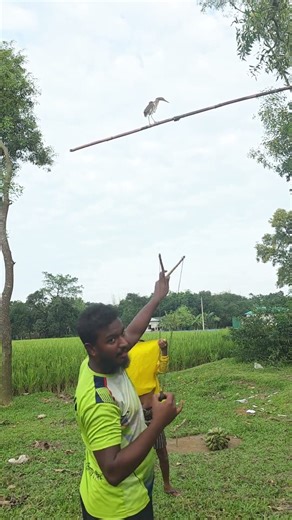 Are you looking from behind?