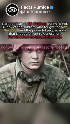 German Divisions in Battle | WW2