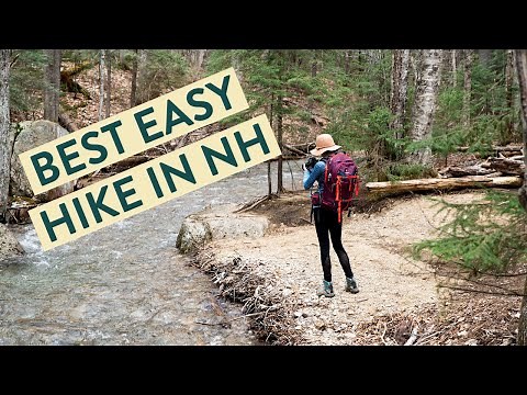 BEST EASY HIKE IN NH! (Waterfall hike in the White Mountains)