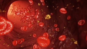 Cell Penetrating Alphabodies (CPABs)