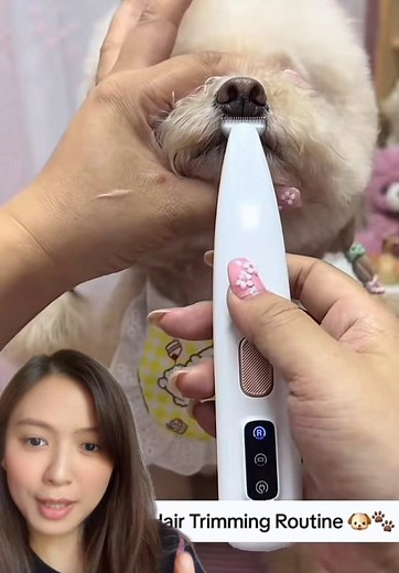 គណនីដែលបានណែនាំ