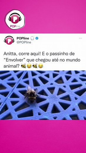 474K views · 10K reactions | “Envolver”, além de hit global, virou hit animal! Até as abelhas mandam ver no “El paso de Anitta”!  | POPline | Facebook