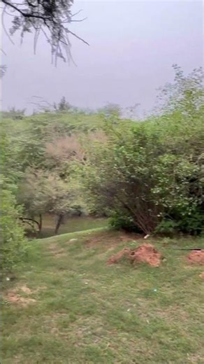 Meri Zindagi Hai Tu Episode 1 EngSub/ Bilal Abbas Khan I Hanya Amir ARY Digital Pakistani Drama