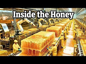 How Honey Is Made With Billions of Bees - Inside Honey Factory | Full Process