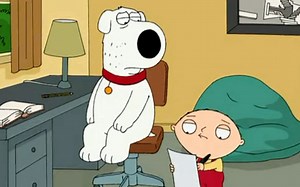 死要面子的老狗和才华横溢的长毛饺子